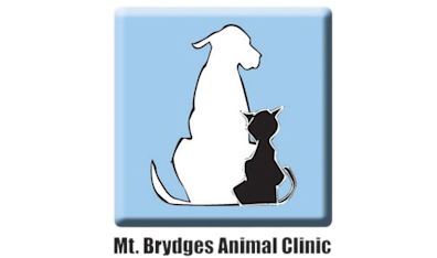 Mt 2024 healthy veterinary